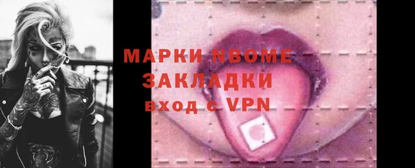 стаф Аркадак