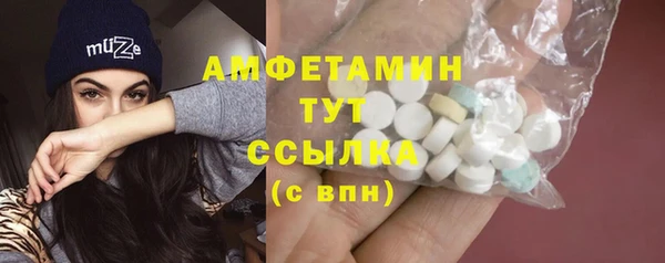 стаф Аркадак