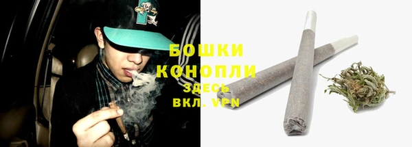 стаф Аркадак