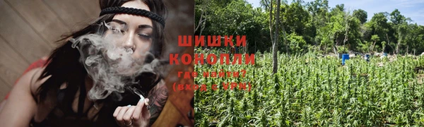 стаф Аркадак