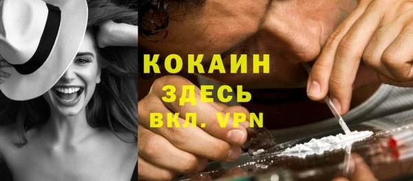 стаф Аркадак