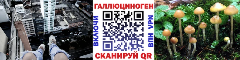 MEGA вход  как найти закладки  Цимлянск  Псилоцибиновые грибы прущие грибы 